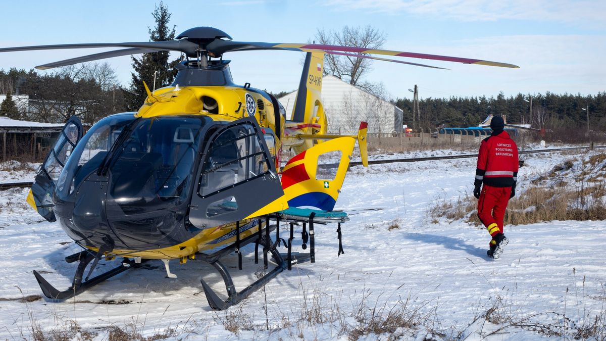 East News archiwum 2025
Fot. NewsLubuski/East News, Nowogrod Bobrzanski, 18.02.2025. Interwencja smiglowca Lotniczego Pogotowia Ratunkowego w Nowogrodzie Bobrzanskim pod Zielona Gora. Helikopter przylecial do wypadku w stolarni. Poszkodowany mezczyzna doznal urazu reki. Teren ladowania zabezpieczala straz pozarna.
NewsLubuski