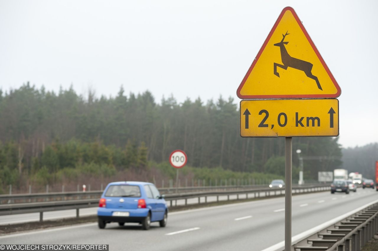 Znaki drogowe, które są ważniejsze niż wam się wydaje. Przekazują ważne informacje