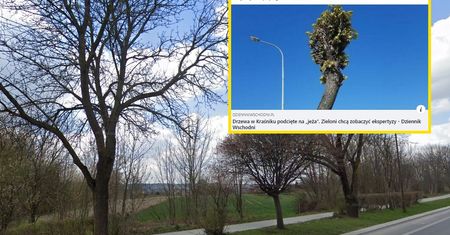 Znowu głośno o Kraśniku. "Widok jest żałosny"