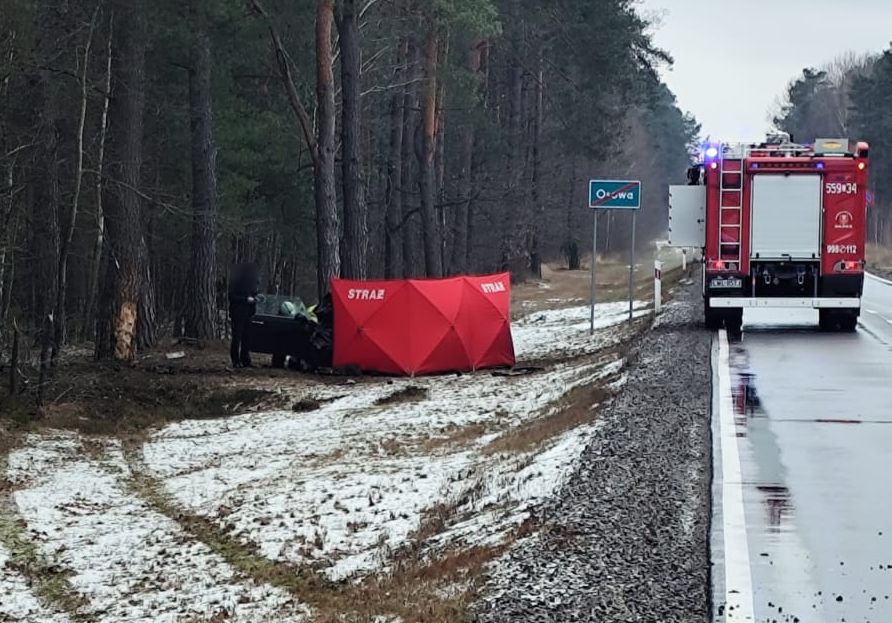 Kierowca zginął na miejscu. Tragedia w Osowej