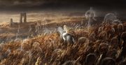 Elden Ring: Shadow of the Erdtree zapowiedziane. DLC jest w fazie rozwoju
