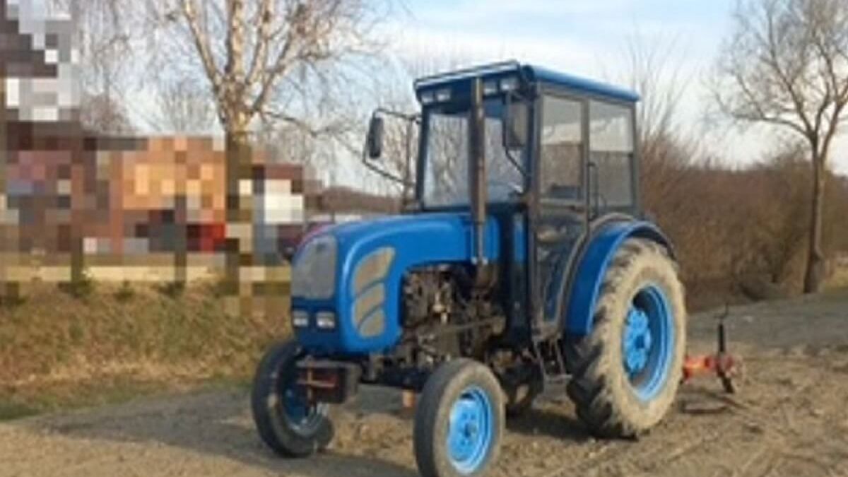 Niebieski traktor na wsi