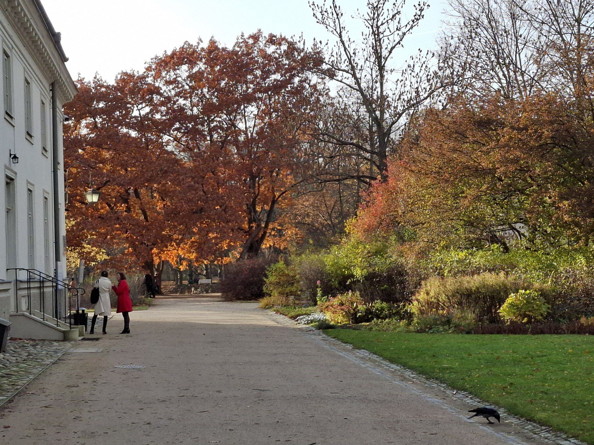 Łazienki Królewskie jak z filmu. Alejki pokryły się złotem jesieni. Jest przepięknie