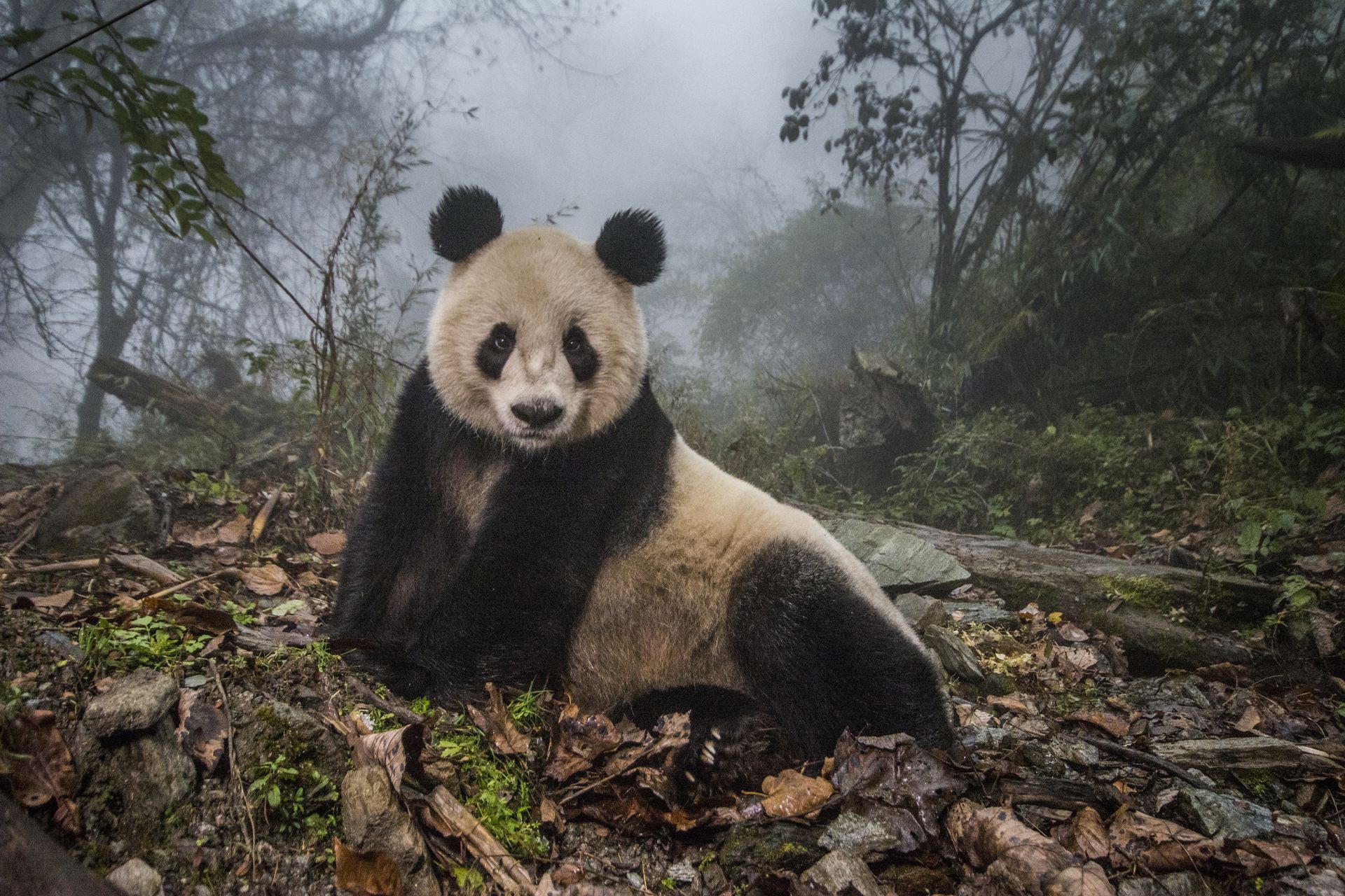 Fotografie zwycięzców Siena International Photo Awards 2017 to wielka inspiracja. Wśród laureatów jest Polak 2
