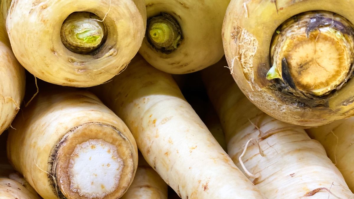 Korzeń pietruszki jest niezwykle zdrowy