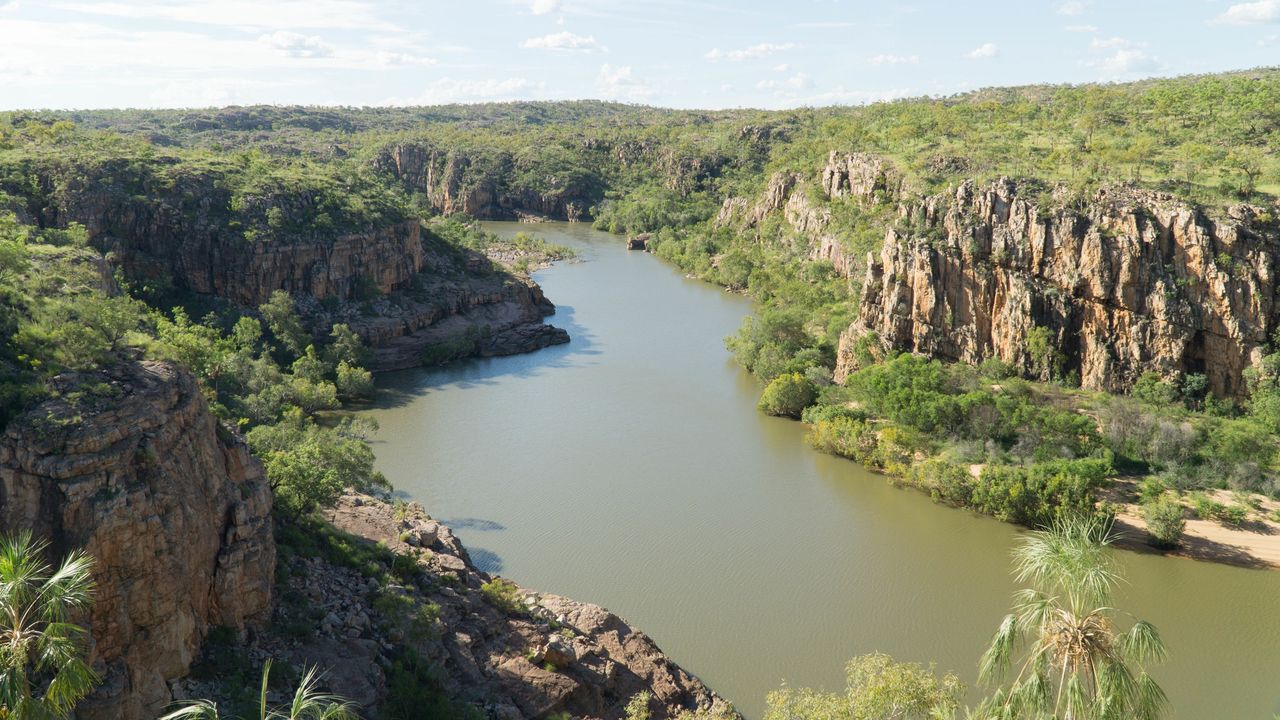 Australia. Zamiast ryby złowił krokodyla