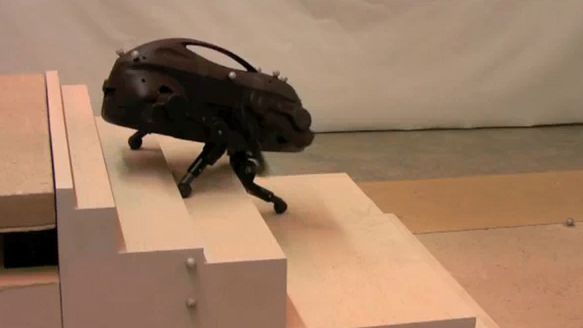 LittleDog – sprytny ale brzydki robot [wideo] 1