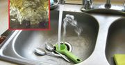 Wylewasz go do zlewu w kuchni? Zobacz na własne oczy, czym to grozi