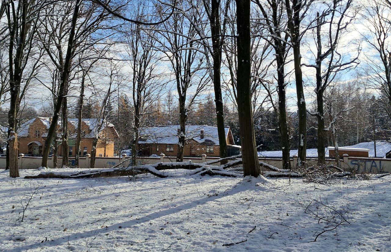 Zimowa aura obejmuje Polskę. Są ostrzeżenia przed opadami śniegu i gołoledzią