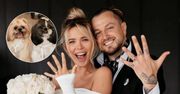 Ślub Kubickiej i Barona: Nie tylko oni wyglądali wyjątkowo. Psy także miały ślubną stylizację
