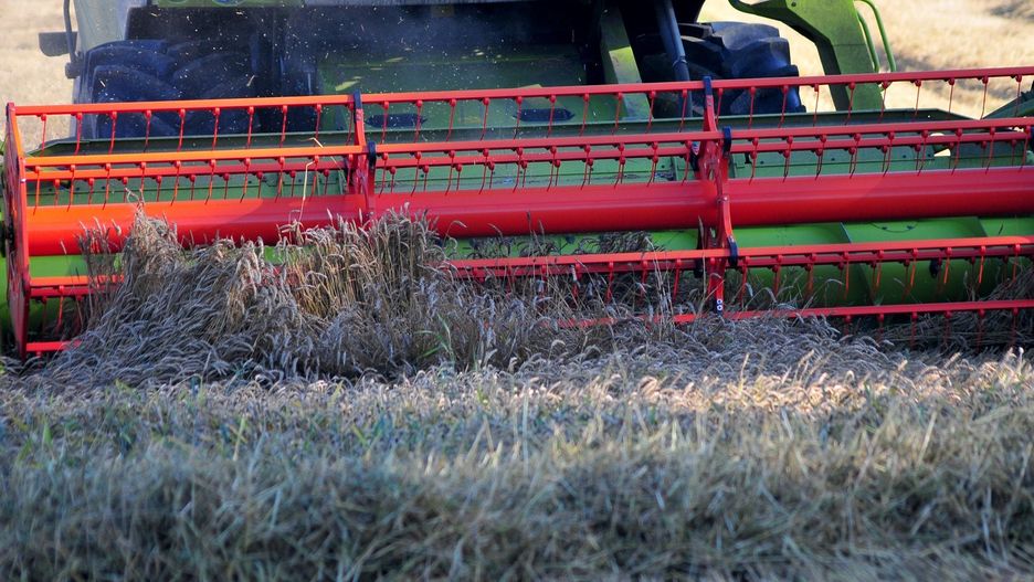 Aby otrzymać płatność dla małych gospodarstw, trzeba spełnić określone wymogi.