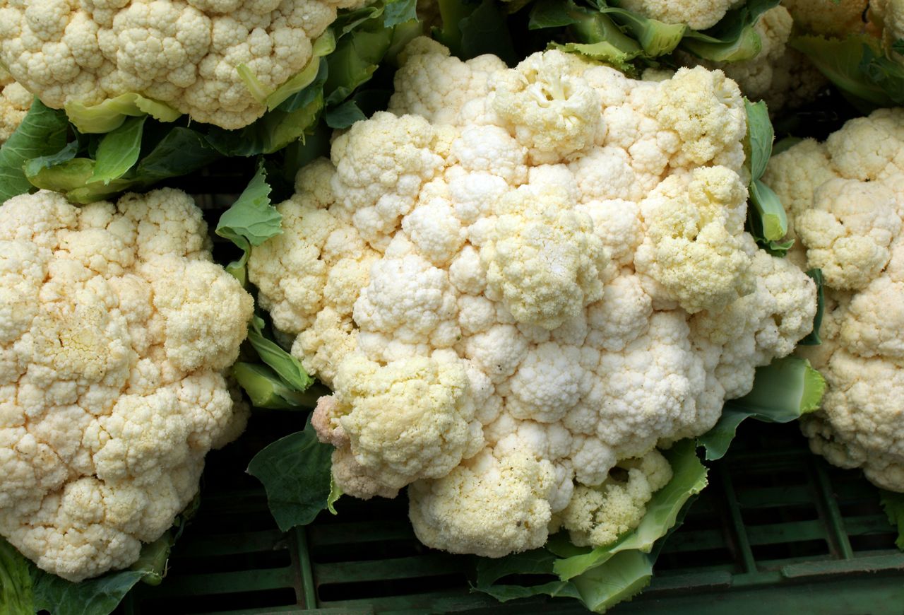 Blumenkohl mal anders: Fermentierte Blätter erobern die Küche