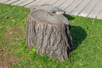 Wsyp do pnia, a szybko zniknie. Bez użycia koparki