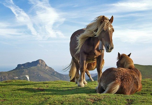 Fotografia przyrodnicza - 15 inspirujących zdjęć dla miłośników przyrody [galeria] 12
