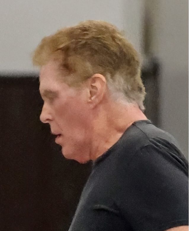 David Hasselhoff