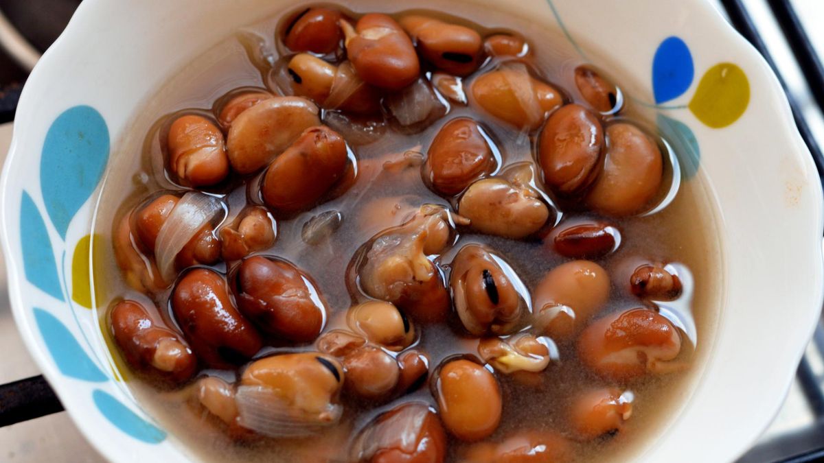 Co posadzić w marcu?