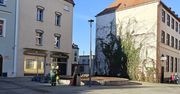Szczecinek: Najbardziej rozpoznawalne drzewo zniknęło z centrum miasta. Wierzbę zastąpi platan