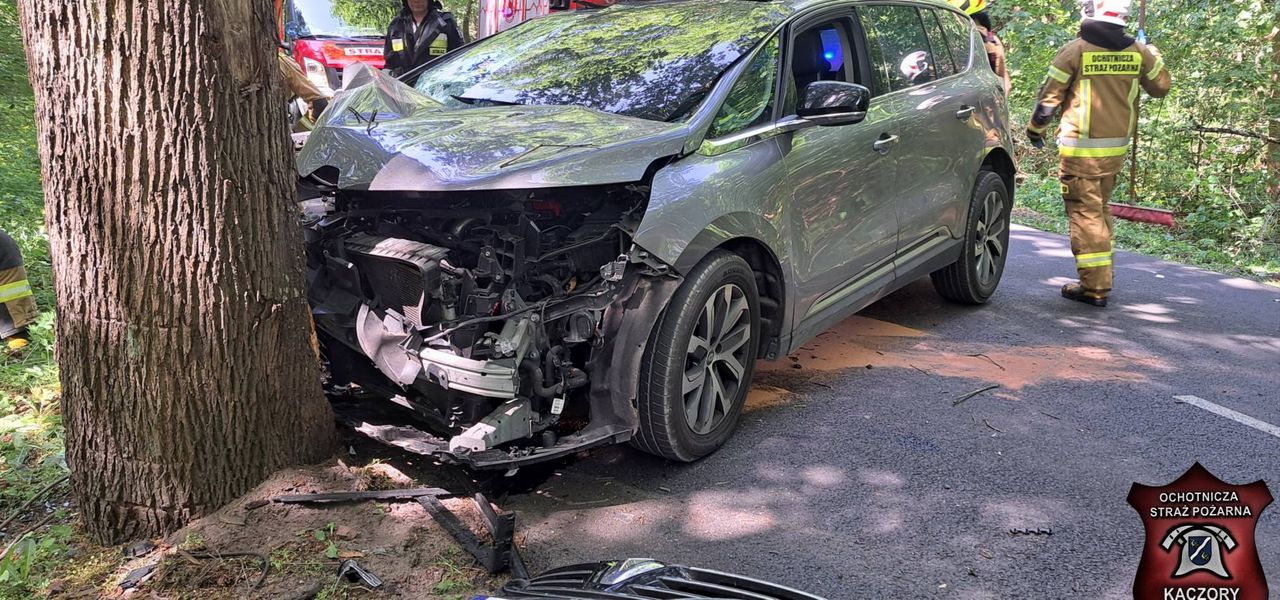 Renault uderzył w drzewo. Kierowca wyszedł bez poważnych obrażeń