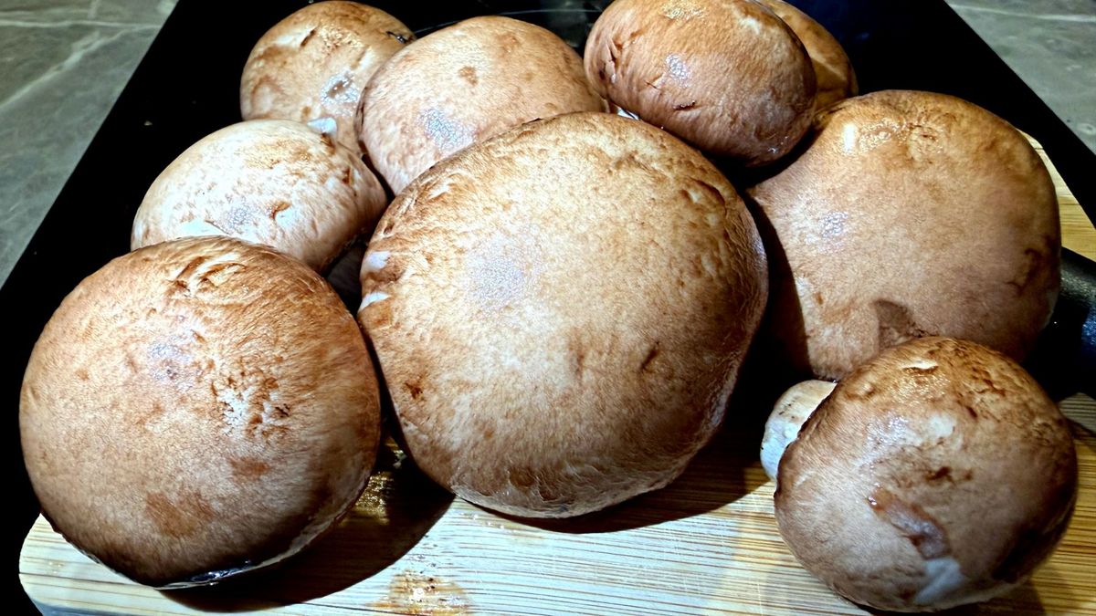 Choć to ten sam gatunek, biała i brązowa pieczarka się różnią.