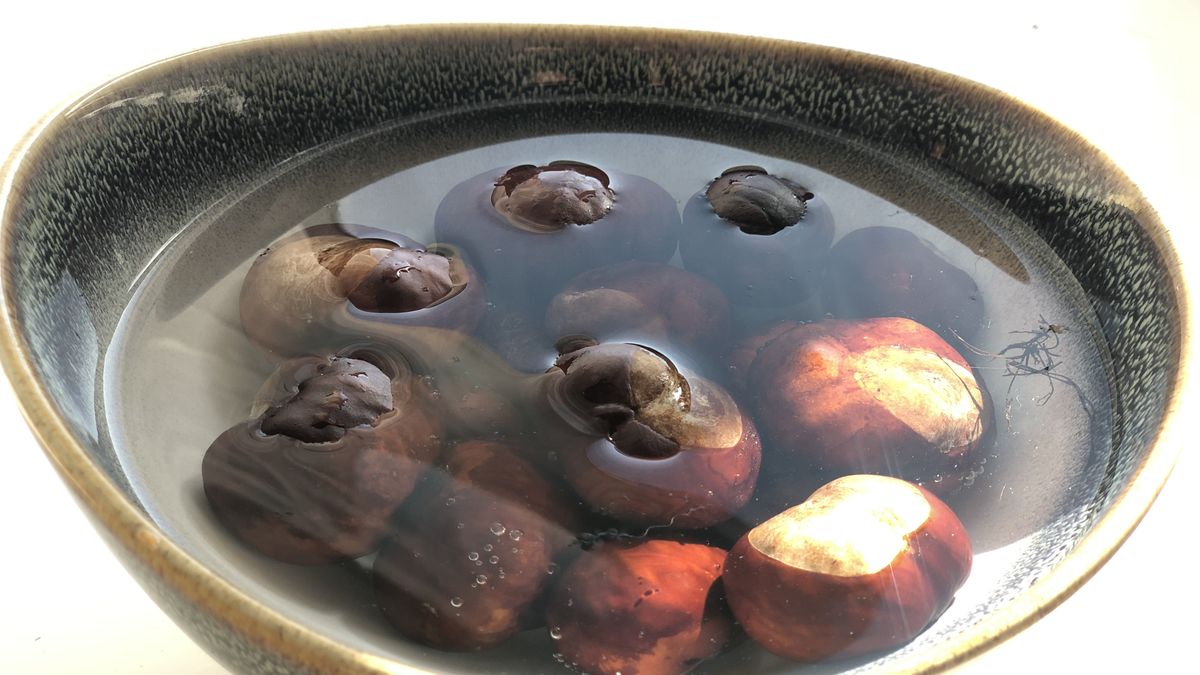 Warto sparzyć kasztany we wrzątku przed użyciem