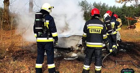 Makabryczne odkrycie pod Zieloną Górą. Dwie łopaty, szczątki i spalony samochód