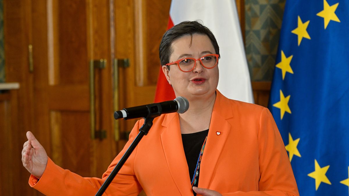 Katarzyna Lubnauer
Radek Pietruszka
edukacja, komisja Edukacji Narodowej, konferencja, Ministerstwo Edukacji Narodowej, polityka, prasowa, RADA