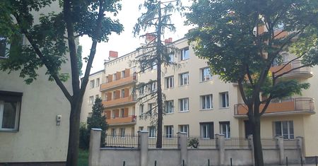 Burdy na poznańskiej ulicy. Mieszkańcy żyją w strachu