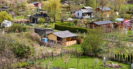 Chcą zlikwidować dwa ROD-y w Warszawie? "To jest granda"