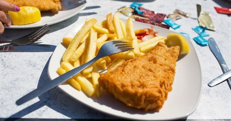 Szokująca cena ryby ze smażalni. Dostali mrożonkę