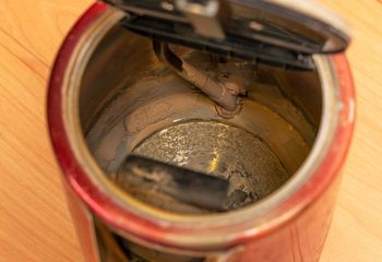 Wlej do czajnika. Kamień będzie odchodził całymi płatami