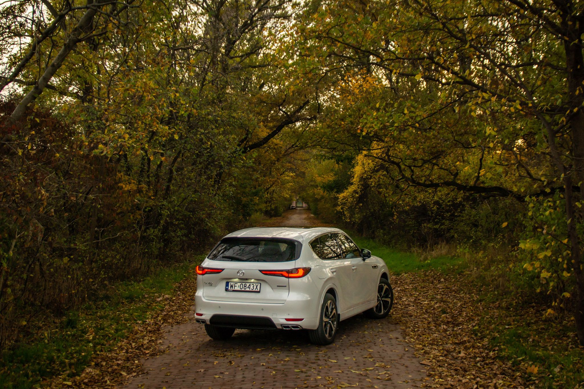 Mazda CX-60 PHEV