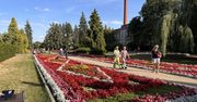 Kto naprawdę nie musi płacić za sanatorium na NFZ? Krótka lista