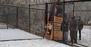 Płockie zoo się powiększyło. To gatunek zagrożony wyginięciem