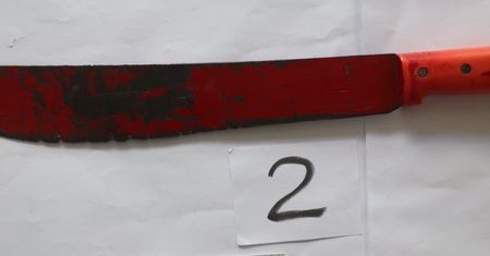 Brutalna napaść w Rybniku! Zamaskowani napastnicy wtargnęli do domu, grozili maczetą i strzelali do psów