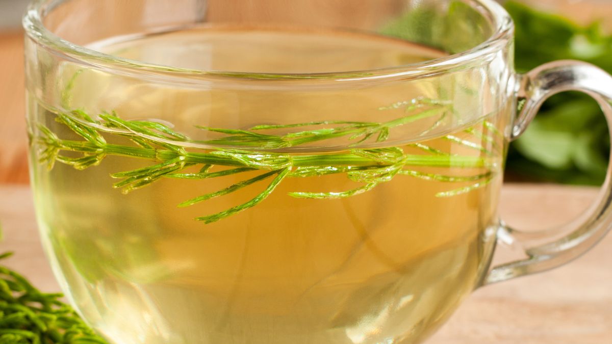 Dlaczego warto stosować skrzyp polny? 