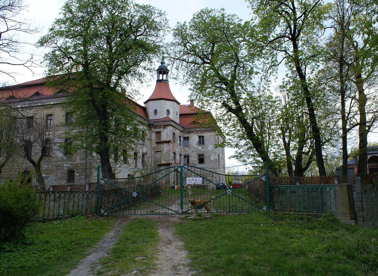 Pałac w Domanicach. Wyjątkowe miejsce na mapie Dolnego Śląska