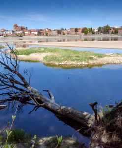 Nadchodzi susza, jakiej nigdy nie było. I nawet tydzień deszczu tego nie zmieni