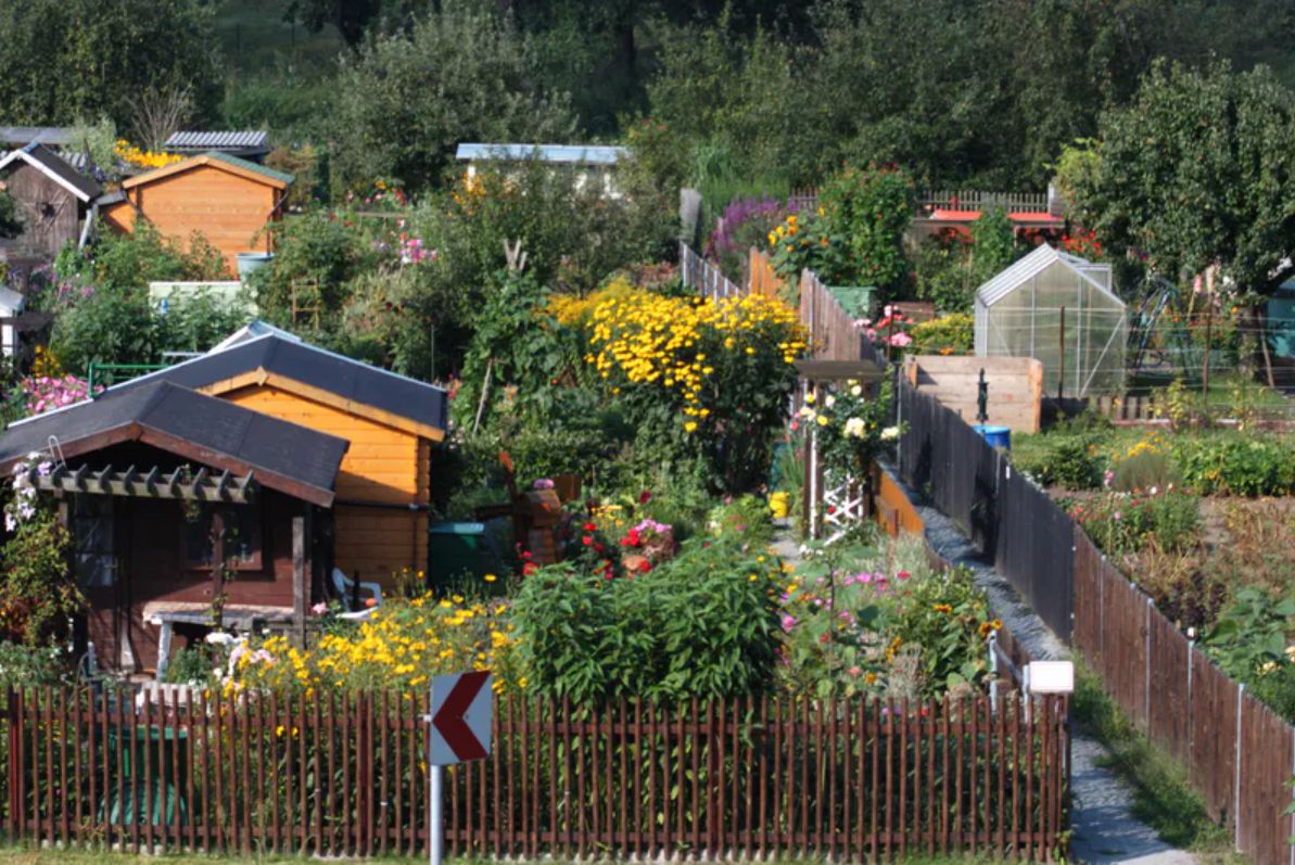 Likwidacja ogródków działkowych. Wrocław idzie pod prąd. Zmienia plany i buduje nowe