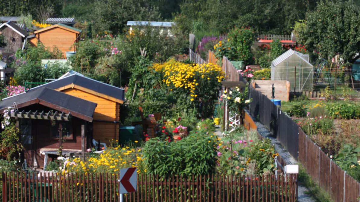 Działki ROD cieszą się dużą popularnością