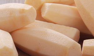 Kiedyś podstawa diety, dziś zapomniane warzywo. Wspiera pracę jelit i regeneruje