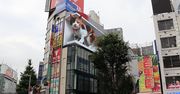 Olbrzymi kot pojawił się na ulicach Tokio. Robi wrażenie