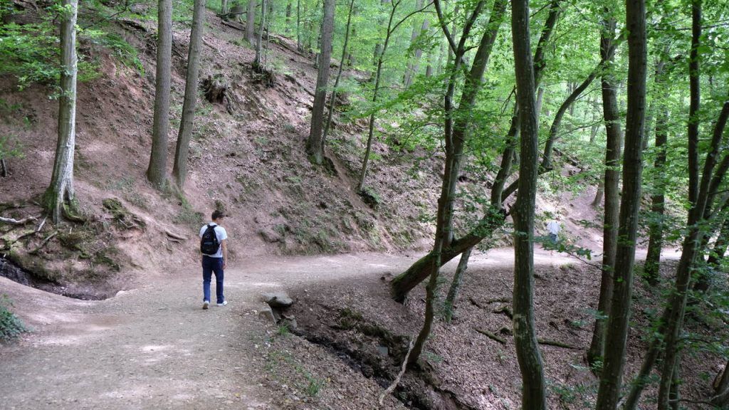 szlak Zamek Eltz