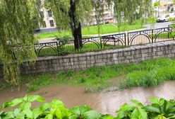 Elbląg w gotowości: Rośnie poziom wody w rzece Kumiela