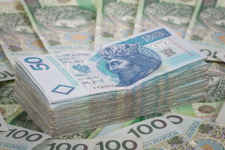 banknoty, biznes, bogactwo, gotówka, handel, kasa, kupno, kupowanie, polskie, portfel, sprzedawanie, sprzedaż, waluta, kryzys