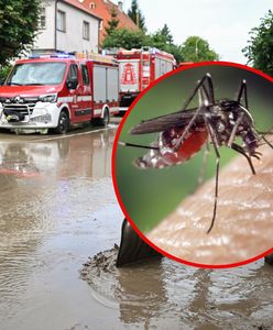 Ekspert ostrzega przed inwazją komarów