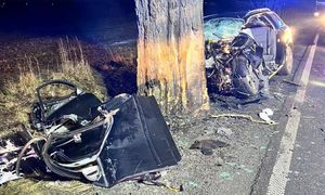 Tragedia nad ranem. Audi roztrzaskało się na drzewie