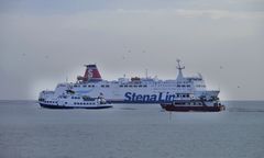 Tragedia na Bałtyku. Kulisy dramatycznej akcji i ważny apel