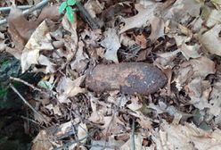 Małopolska. Poszedł na grzyby, znalazł niewybuch