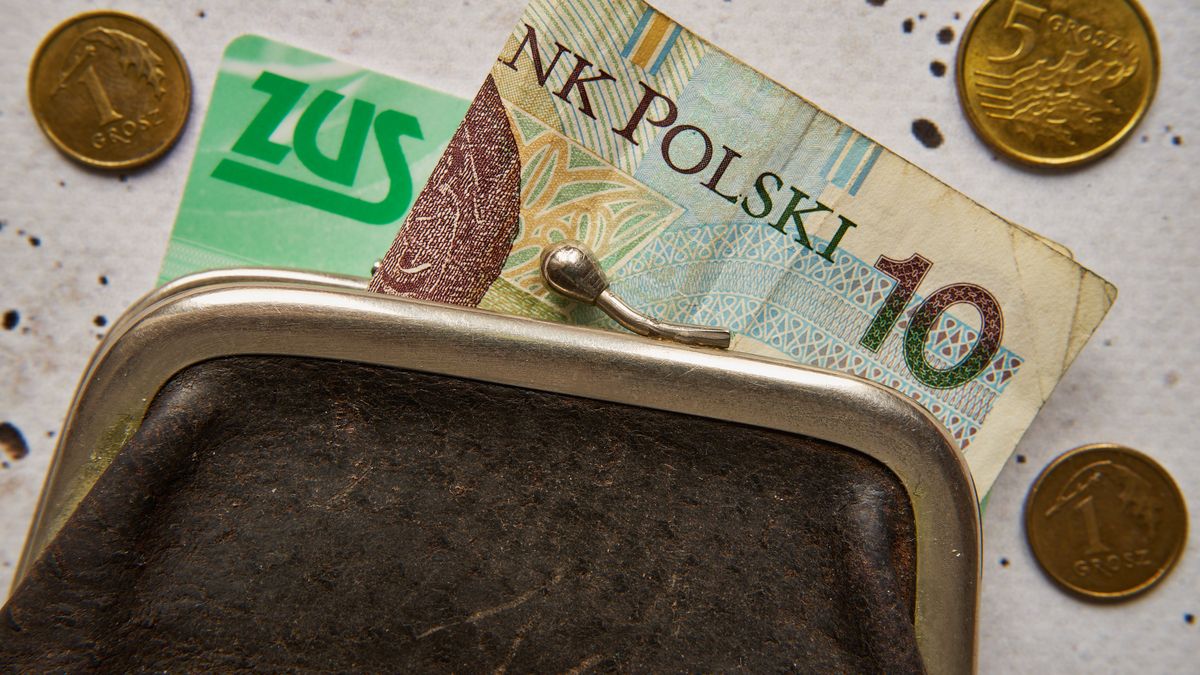 emerytura, renta, zus, legitymacja, dokument, polski banknot, banknot, banknoty, polskie, polski, zloty, pln, polska, waluta, polska waluta, polskie monety, monety, moneta, finanse, gospodarka, ubezpieczenie, emerytalne, portmonetka, czarna, biznes, grosz, bieda, recesja, wiek, emerytalny, kobieta, przed emerytalne, nikt, poziomo, beton, europa