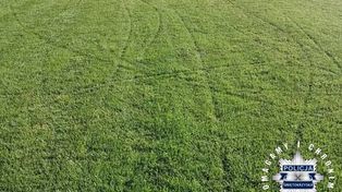 Wjechali hulajnogami na boisko. Naprawa murawy ma kosztować 6 tys. zł